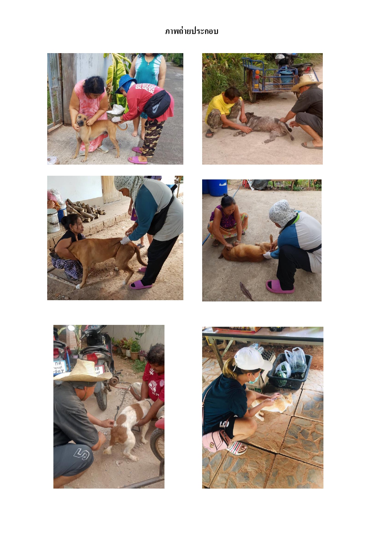 ภาพประกอบฉีดหมาแมว page 0001