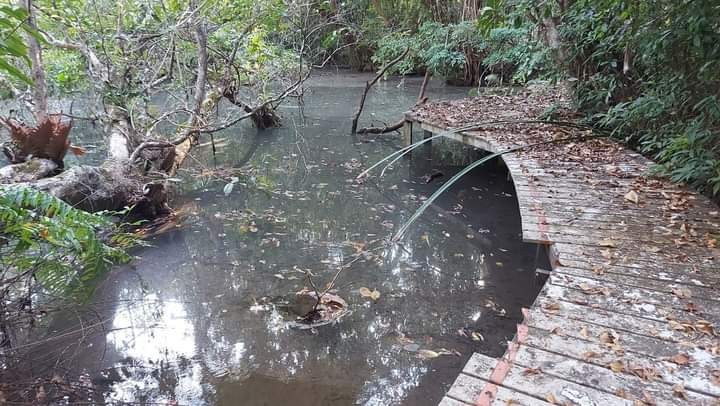 1812022 ๒๒๐๑๑๘ 14